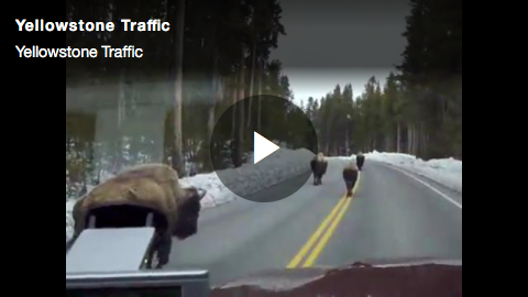 Exemple de lecteur Brightcove