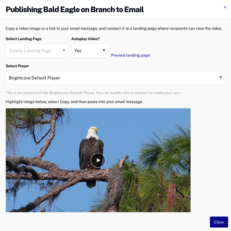 sélectionner un joueur